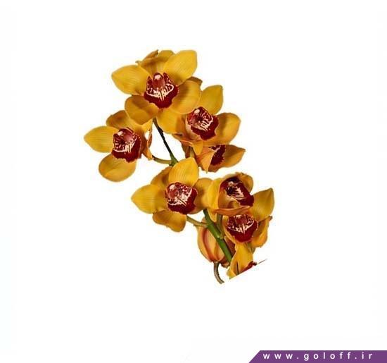 خرید آنلاین سبد گل ارکیده سیمبیدیوم اورنج - Cymbidium Orchid | گل آف